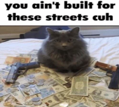 Post image of Cat Tax